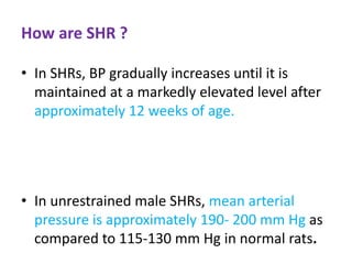 How are SHR ?
• In SHRs, BP gradually increases until it is
maintained at a markedly elevated level after
approximately 12 weeks of age.
• In unrestrained male SHRs, mean arterial
pressure is approximately 190- 200 mm Hg as
compared to 115-130 mm Hg in normal rats.
 