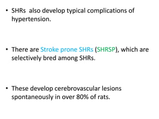 • SHRs also develop typical complications of
hypertension.
• There are Stroke prone SHRs (SHRSP), which are
selectively bred among SHRs.
• These develop cerebrovascular lesions
spontaneously in over 80% of rats.
 