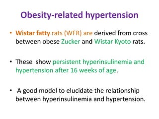Obesity-related hypertension
• Wistar fatty rats (WFR) are derived from cross
between obese Zucker and Wistar Kyoto rats.
• These show persistent hyperinsulinemia and
hypertension after 16 weeks of age.
• A good model to elucidate the relationship
between hyperinsulinemia and hypertension.
 