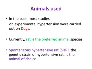Animals used
• In the past, most studies
on experimental hypertension were carried
out on Dogs.
• Currently, rat is the preferred animal species.
• Spontaneous hypertensive rat (SHR), the
genetic strain of hypertensive rat, is the
animal of choice.
 