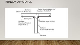 RUNWAY APPARATUS
 