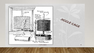 Preclinical screening methods of cns stimulants | PPTX