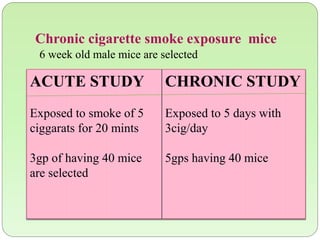 Chronic cigarette smoke exposure mice
6 week old male mice are selected
ACUTE STUDY
Exposed to smoke of 5
ciggarats for 20 mints
3gp of having 40 mice
are selected
CHRONIC STUDY
Exposed to 5 days with
3cig/day
5gps having 40 mice
 