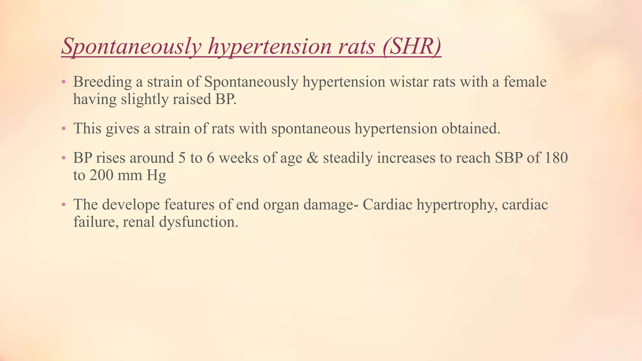 Spontaneously hypertension rats (SHR)
• Breeding a strain of Spontaneously hypertension wistar rats with a female
having slightly raised BP.
• This gives a strain of rats with spontaneous hypertension obtained.
• BP rises around 5 to 6 weeks of age & steadily increases to reach SBP of 180
to 200 mm Hg
• The develope features of end organ damage- Cardiac hypertrophy, cardiac
failure, renal dysfunction.
 
