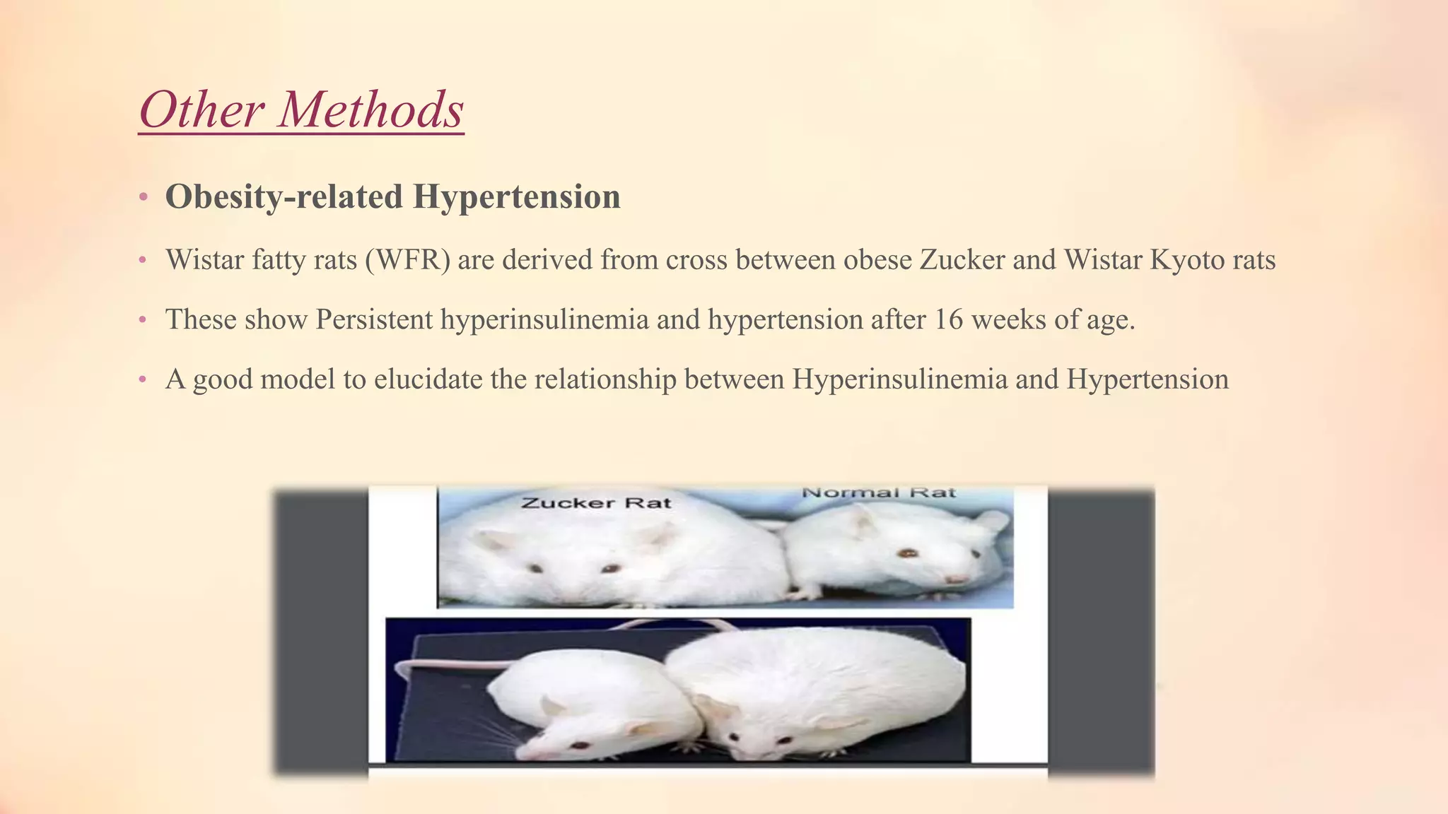 Other Methods
• Obesity-related Hypertension
• Wistar fatty rats (WFR) are derived from cross between obese Zucker and Wistar Kyoto rats
• These show Persistent hyperinsulinemia and hypertension after 16 weeks of age.
• A good model to elucidate the relationship between Hyperinsulinemia and Hypertension
 