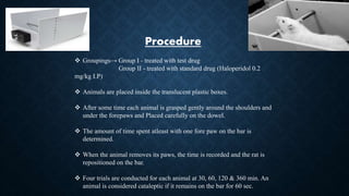 Procedure
 Groupings→ Group I - treated with test drug
Group II - treated with standard drug (Haloperidol 0.2
mg/kg I.P)
 Animals are placed inside the translucent plastic boxes.
 After some time each animal is grasped gently around the shoulders and
under the forepaws and Placed carefully on the dowel.
 The amount of time spent atleast with one fore paw on the bar is
determined.
 When the animal removes its paws, the time is recorded and the rat is
repositioned on the bar.
 Four trials are conducted for each animal at 30, 60, 120 & 360 min. An
animal is considered cataleptic if it remains on the bar for 60 sec.
 