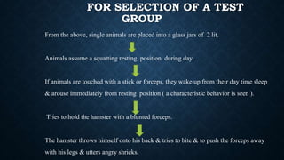 FOR SELECTION OF A TEST
GROUP
From the above, single animals are placed into a glass jars of 2 lit.
Animals assume a squatting resting position during day.
If animals are touched with a stick or forceps, they wake up from their day time sleep
& arouse immediately from resting position ( a characteristic behavior is seen ).
Tries to hold the hamster with a blunted forceps.
The hamster throws himself onto his back & tries to bite & to push the forceps away
with his legs & utters angry shrieks.
 