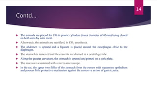 Contd…
 The animals are placed for 19h in plastic cylinders (inner diameter of 45mm) being closed
on both ends by wire mesh.
 Afterwards, the animals are sacrificed in CO2 anesthesia.
 The abdomen is opened and a ligature is placed around the oesophagus close to the
diaphragm.
 The stomach is removed and the contents are drained in a centrifuge tube.
 Along the greater curvature, the stomach is opened and pinned on a cork plate.
 The mucosa is examined with a stereo microscope.
 In the rat, the upper two fifths of the stomach form the rumen with squamous epithelium
and possess little protective mechanism against the corrosive action of gastric juice.
14
 