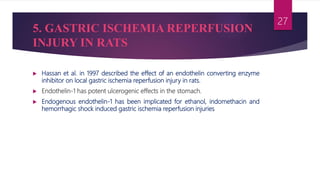  Hassan et al. in 1997 described the effect of an endothelin converting enzyme
inhibitor on local gastric ischemia reperfusion injury in rats.
 Endothelin-1 has potent ulcerogenic effects in the stomach.
 Endogenous endothelin-1 has been implicated for ethanol, indomethacin and
hemorrhagic shock induced gastric ischemia reperfusion injuries
27
5. GASTRIC ISCHEMIA REPERFUSION
INJURY IN RATS
 
