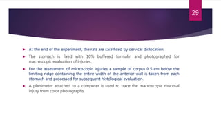  At the end of the experiment, the rats are sacrificed by cervical dislocation.
 The stomach is fixed with 10% buffered formalin and photographed for
macroscopic evaluation of injuries.
 For the assessment of microscopic injuries a sample of corpus 0.5 cm below the
limiting ridge containing the entire width of the anterior wall is taken from each
stomach and processed for subsequent histological evaluation.
 A planimeter attached to a computer is used to trace the macroscopic mucosal
injury from color photographs.
29
 