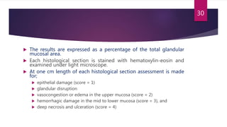  The results are expressed as a percentage of the total glandular
mucosal area.
 Each histological section is stained with hematoxylin-eosin and
examined under light microscope.
 At one cm length of each histological section assessment is made
for;
 epithelial damage (score = 1)
 glandular disruption
 vasocongestion or edema in the upper mucosa (score = 2)
 hemorrhagic damage in the mid to lower mucosa (score = 3), and
 deep necrosis and ulceration (score = 4)
30
 