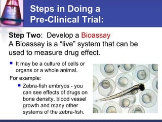 Steps in Doing a
        Pre-Clinical Trial:
Step Two: Develop a Bioassay
A Bioassay is a “live” system that can be
used to measure drug effect.
 It may be a culture of cells or
  organs or a whole animal.
For example:
    Zebra-fish embryos - you
      can see effects of drugs on
      bone density, blood vessel
      growth and many other
      systems of the zebra-fish.
 