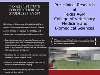 Pre-clinical Research
          at
     Texas A&M
College of Veterinary
    Medicine and
Biomedical Sciences
 