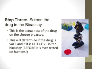 • This is the actual test of the drug
on the chosen bioassay.
• This will determine if the drug is
SAFE and if it is EFFECTIVE in the
bioassay (BEFORE it is ever tested
on humans!)
Steps in Doing a
Pre-Clinical Trial:
Step Three: Screen the
drug in the Bioassay.
 