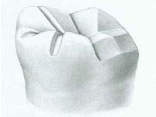 adult bean bolsa couch