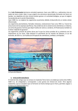 En el eón Proterozoico (primeros animales) aparecen, hace unos 1000 m.a., sedimentos ricos en
óxido de hierro (color rojo), lo que originó una estructura denominada formación de hierro en
bandas. Los depósitos de este mineral existen gracias a la actividad biológica, ya que el oxígeno
fue producido por la acción fotosintética.
Hace 1500 m.a. se originan los organismos eucariontes debido al desarrollo de un núcleo celular
diferenciado.
Los organismos pluricelulares, llamados metazoos, evolucionaron hace unos 700 m.a. Fueron los
precursores de las esponjas (poríferos). Hay evidencias de la existencia de celentéreos o cnidarios,
así como de gusanos marinos que dejan huellas de rastros o senderos. Al Proterozoico también se
le llama “edad de los gusanos”.
Los organismos carecían de partes duras por lo que las únicas pruebas de su existencia son las
impresiones en las rocas. Cabe destacar el yacimiento de los montes de Ediacara, al sur de
Australia, de 670 m.a. con huellas de 34 especies de celentéreos, anélidos y artrópodos.




La fauna de Ediacara


    3. EVOLUCIÓN GEOLÓGICA
El material más antiguo que se conoce en el planeta Tierra tiene una edad que oscila entre 4100 y
4200 m.a. de antigüedad y corresponde a unos granos de mineral de circón. Pero algunos
meteoritos, que se considera que se formaron al mismo tiempo que la Tierra, permiten asignar a
la Tierra una edad de 4550 m.a.
 