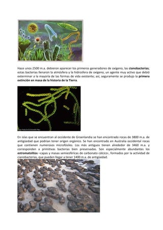 Hace unos 2500 m.a. debieron aparecer los primeros generadores de oxígeno, las cianobacterias;
estas bacterias llenaron la atmósfera y la hidrosfera de oxígeno, un agente muy activo que debió
exterminar a la mayoría de las formas de vida existente; así, seguramente se produjo la primera
extinción en masa de la historia de la Tierra.




En islas que se encuentran al occidente de Groenlandia se han encontrado rocas de 3800 m.a. de
antigüedad que podrían tener origen orgánico. Se han encontrado en Australia occidental rocas
que contienen numerosos microfósiles. Los más antiguos tienen alrededor de 3460 m.a. y
corresponden a primitivas bacterias bien preservadas. Son especialmente abundantes los
estromatolitos –capas y masas semiesféricas de carbonato cálcico-, formados por la actividad de
cianobacterias, que pueden llegar a tener 1400 m.a. de antigüedad.
 
