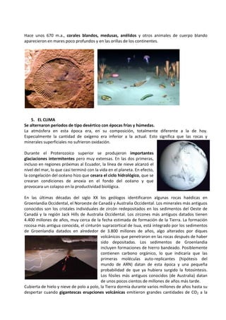 Hace unos 670 m.a., corales blandos, medusas, anélidos y otros animales de cuerpo blando
aparecieron en mares poco profundos y en las orillas de los continentes.




    5. EL CLIMA
Se alternaron periodos de tipo desértico con épocas frías y húmedas.
La atmósfera en esta época era, en su composición, totalmente diferente a la de hoy.
Especialmente la cantidad de oxígeno era inferior a la actual. Esto significa que las rocas y
minerales superficiales no sufrieron oxidación.

Durante el Proterozoico superior se produjeron importantes
glaciaciones intermitentes pero muy extensas. En las dos primeras,
incluso en regiones próximas al Ecuador, la línea de nieve alcanzó el
nivel del mar, lo que casi terminó con la vida en el planeta. En efecto,
la congelación del océano hizo que cesara el ciclo hidrológico, que se
crearan condiciones de anoxia en el fondo del océano y que
provocara un colapso en la productividad biológica.

En las últimas décadas del siglo XX los geólogos identificaron algunas rocas haédicas en
Groenlandia Occidental, el Noroeste de Canadá y Australia Occidental. Los minerales más antiguos
conocidos son los cristales individuales de zircón redepositados en los sedimentos del Oeste de
Canadá y la región Jack Hills de Australia Occidental. Los zircones más antiguos datados tienen
4.400 millones de años, muy cerca de la fecha estimada de formación de la Tierra. La formación
rocosa más antigua conocida, el cinturón supracortical de Isua, está integrado por los sedimentos
de Groenlandia datados en alrededor de 3.800 millones de años, algo alterados por diques
                                          volcánicos que penetraron en las rocas después de haber
                                          sido depositadas. Los sedimentos de Groenlandia
                                          incluyen formaciones de hierro bandeado. Posiblemente
                                          contienen carbono orgánico, lo que indicaría que las
                                          primeras moléculas auto-replicantes (hipótesis del
                                          mundo de ARN) datan de esta época y una pequeña
                                          probabilidad de que ya hubiera surgido la fotosíntesis.
                                          Los fósiles más antiguos conocidos (de Australia) datan
                                          de unos pocos cientos de millones de años más tarde.
Cubierta de hielo y nieve de polo a polo, la Tierra dormía durante varios millones de años hasta su
despertar cuando gigantescas erupciones volcánicas emitieron grandes cantidades de CO2 a la
 