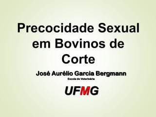 Precocidade Sexual
em Bovinos de
Corte
José Aurélio Garcia Bergmann
Escola de Veterinária
UFMG
 