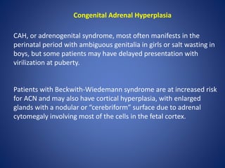 Congenital Adrenal Hyperplasia
CAH, or adrenogenital syndrome, most often manifests in the
perinatal period with ambiguous genitalia in girls or salt wasting in
boys, but some patients may have delayed presentation with
virilization at puberty.
Patients with Beckwith-Wiedemann syndrome are at increased risk
for ACN and may also have cortical hyperplasia, with enlarged
glands with a nodular or “cerebriform” surface due to adrenal
cytomegaly involving most of the cells in the fetal cortex.
 