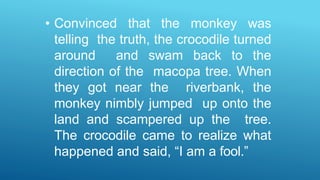 • Convinced that the monkey was
telling the truth, the crocodile turned
around and swam back to the
direction of the macopa tree. When
they got near the riverbank, the
monkey nimbly jumped up onto the
land and scampered up the tree.
The crocodile came to realize what
happened and said, “I am a fool.”
 
