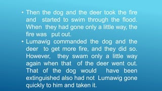 • Then the dog and the deer took the fire
and started to swim through the flood.
When they had gone only a little way, the
fire was put out.
• Lumawig commanded the dog and the
deer to get more fire, and they did so.
However, they swam only a little way
again when that of the deer went out.
That of the dog would have been
extinguished also had not Lumawig gone
quickly to him and taken it.
 