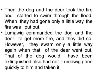 • Then the dog and the deer took the fire
and started to swim through the flood.
When they had gone only a little way, the
fire was put out.
• Lumawig commanded the dog and the
deer to get more fire, and they did so.
However, they swam only a little way
again when that of the deer went out.
That of the dog would have been
extinguished also had not Lumawig gone
quickly to him and taken it.
 