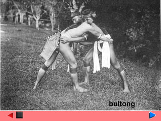 bultong
 