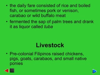 • the daily fare consisted of rice and boiled
fish, or sometimes pork or venison,
carabao or wild buffalo meat
• fermented the sap of palm trees and drank
it as liquor called tuba
Livestock
• Pre-colonial Filipinos raised chickens,
pigs, goats, carabaos, and small native
ponies
 