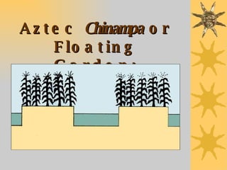 Aztec  Chinampa  or Floating Garden: 15ft. to 30ft. wide 