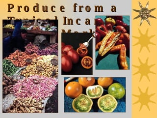 Produce from a Typical Incan    Market 