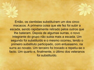 Então, os cientistas substitu í ram um dos cinco macacos. A primeira coisa que ele fez foi subir a escada, sendo rapidamente retirado pelos outros que lhe bateram. Depois de algumas surras, o novo integrante do grupo não subia mais a escada. Um segundo foi substitu í do e o mesmo ocorreu, tendo o primeiro substituto participado, com entusiasmo, na surra ao novato. Um terceiro foi trocado e repetiu-se o facto. Um quarto e, finalmente, o  ú ltimo dos veteranos foi substitu í do. 