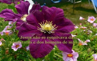 Jesus não se esquivava das prostitutas e dos homens de má vida. 