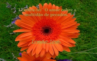 Lembra-te:¨ O amor cobre a multidão de pecados.¨ Irmão José. 