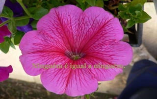 Ninguém é igual a ninguém. 