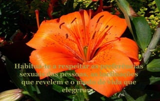 Habitua-te a respeitar as preferências sexuais das pessoas, as inclinações que revelem e o modo de vida que elegeram. 