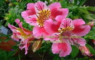 Não sabes o que foste e nem podes prever o que serás. 