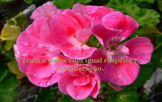 Trata a todos com igual respeito e consideração. 