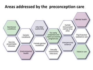 Areas addressed by the preconception care
 