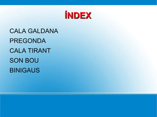 ÍNDEX CALA GALDANA