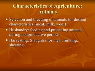 Characteristics of Agriculture: Animals Selection and breeding of animals for desired characteristics (meat, milk, wool) Husbandry: feeding and protecting animals during nonproductive periods Harvesting: Slaughter for meat, milking, shearing 