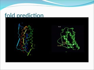 Prediction of protein structure, homology Modeling | PPT