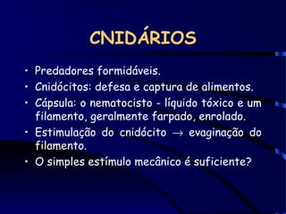 CNIDÁRIOS
• Predadores formidáveis.
• Cnidócitos: defesa e captura de alimentos.
• Cápsula: o nematocisto - líquido tóxico e um
filamento, geralmente farpado, enrolado.
• Estimulação do cnidócito → evaginação do
filamento.
• O simples estímulo mecânico é suficiente?
 