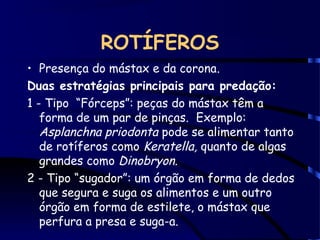 ROTÍFEROS
• Presença do mástax e da corona.
Duas estratégias principais para predação:
1 - Tipo “Fórceps”: peças do mástax têm a
forma de um par de pinças. Exemplo:
Asplanchna priodonta pode se alimentar tanto
de rotíferos como Keratella, quanto de algas
grandes como Dinobryon.
2 - Tipo “sugador”: um órgão em forma de dedos
que segura e suga os alimentos e um outro
órgão em forma de estilete, o mástax que
perfura a presa e suga-a.
 