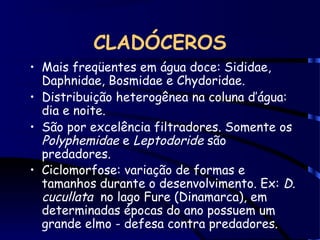 CLADÓCEROS
• Mais freqüentes em água doce: Sididae,
Daphnidae, Bosmidae e Chydoridae.
• Distribuição heterogênea na coluna d’água:
dia e noite.
• São por excelência filtradores. Somente os
Polyphemidae e Leptodoride são
predadores.
• Ciclomorfose: variação de formas e
tamanhos durante o desenvolvimento. Ex: D.
cucullata no lago Fure (Dinamarca), em
determinadas épocas do ano possuem um
grande elmo - defesa contra predadores.
 