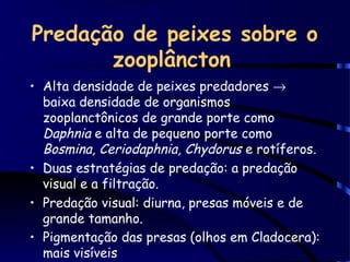Predação de peixes sobre o
zooplâncton
• Alta densidade de peixes predadores →
baixa densidade de organismos
zooplanctônicos de grande porte como
Daphnia e alta de pequeno porte como
Bosmina, Ceriodaphnia, Chydorus e rotíferos.
• Duas estratégias de predação: a predação
visual e a filtração.
• Predação visual: diurna, presas móveis e de
grande tamanho.
• Pigmentação das presas (olhos em Cladocera):
mais visíveis
 