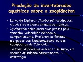 Predação de invertebrados
aquáticos sobre o zooplâncton
• Larva de Diptera (Chaoborus): copépodos,
cladóceros e alguns animais bentônicos.
• Cyclopoida: selecionam suas presas pelo
tamanho, velocidade de nado e
comportamento. Preferem as formas
alongadas dos Diaphanossoma ou dos
copepoditos de Calonoida.
• Bosmina: dobra suas antenas num sulco, em
seguida afundando passivamente →
estratégia.
 