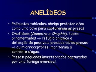 ANELÍDEOS
• Poliquetas tubículas: abrigo protetor e/ou
como uma cova para capturarem as presas
• Onufídeos (Diopatra e Onuphis): tubos
ornamentados → refúgio críptico e
detecção de possíveis predadores ou presas
→ quimiorreceptores monitoram a
corrente d’água.
• Presas: pequenos invertebrados capturados
por uma faringe eversível.
 