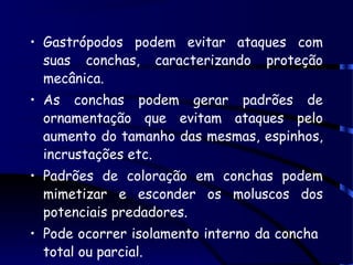 • Gastrópodos podem evitar ataques com
suas conchas, caracterizando proteção
mecânica.
• As conchas podem gerar padrões de
ornamentação que evitam ataques pelo
aumento do tamanho das mesmas, espinhos,
incrustações etc.
• Padrões de coloração em conchas podem
mimetizar e esconder os moluscos dos
potenciais predadores.
• Pode ocorrer isolamento interno da concha
total ou parcial.
 