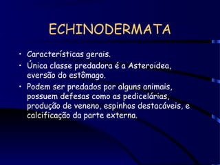 ECHINODERMATA
• Características gerais.
• Única classe predadora é a Asteroidea,
eversão do estômago.
• Podem ser predados por alguns animais,
possuem defesas como as pedicelárias,
produção de veneno, espinhos destacáveis, e
calcificação da parte externa.
 